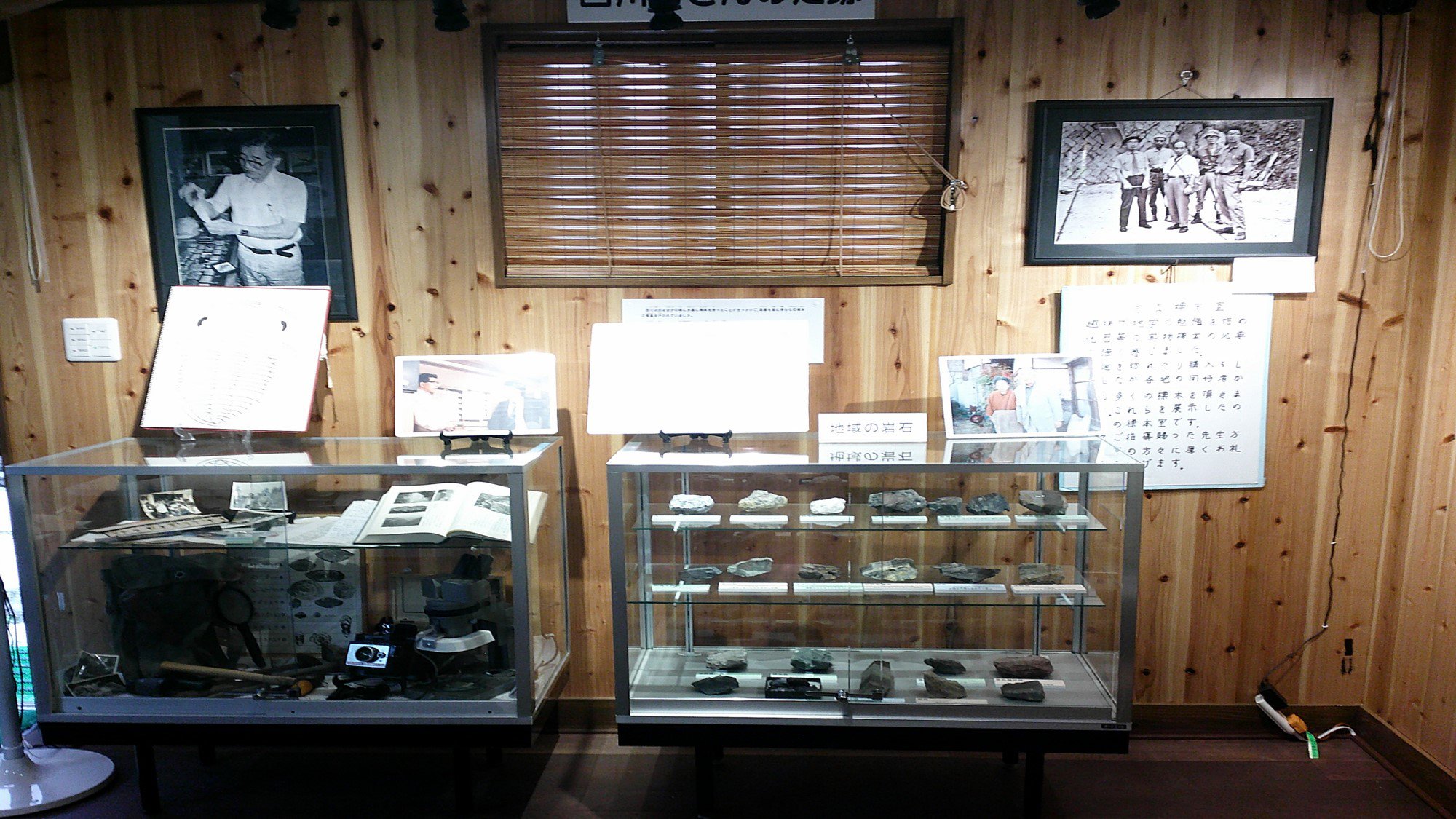 にしかわ化石館展示の様子